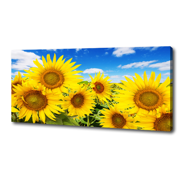 Foto op canvas Zonnebloemen