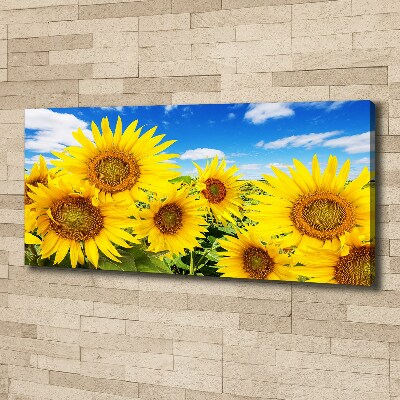 Foto op canvas Zonnebloemen