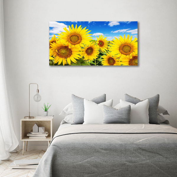 Foto op canvas Zonnebloemen