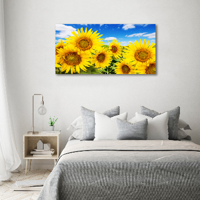 Foto op canvas Zonnebloemen