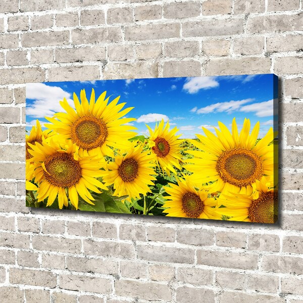 Foto op canvas Zonnebloemen