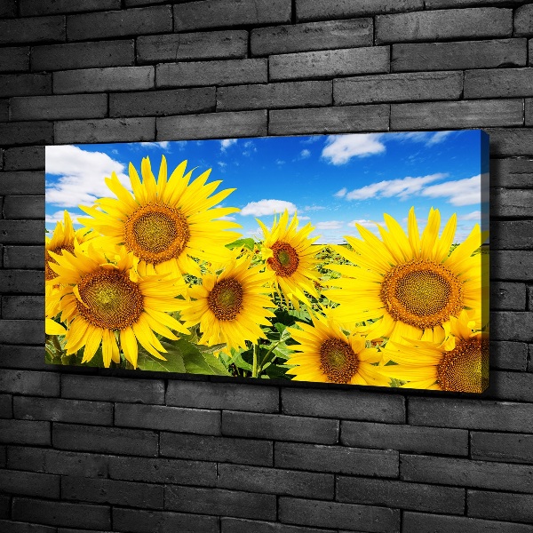 Foto op canvas Zonnebloemen