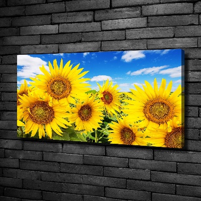 Foto op canvas Zonnebloemen