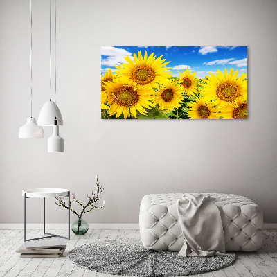 Foto op canvas Zonnebloemen