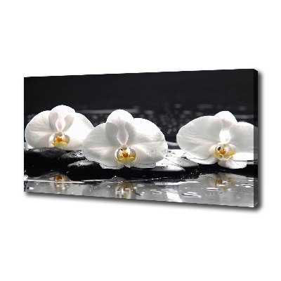 Canvas foto Orchidee
