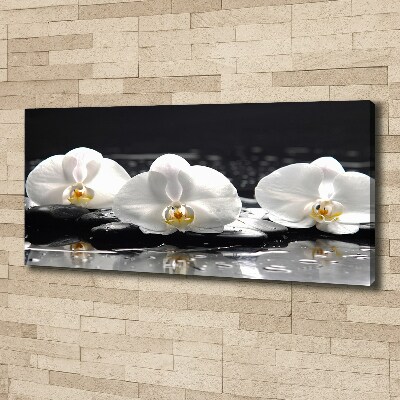 Canvas foto Orchidee