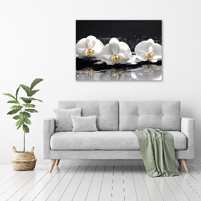 Canvas foto Orchidee