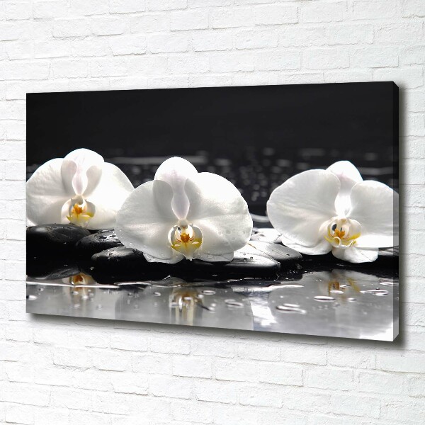 Canvas foto Orchidee
