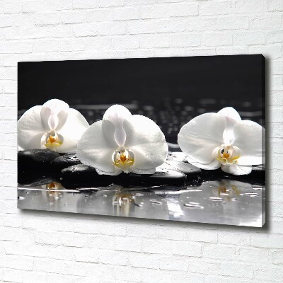 Canvas foto Orchidee
