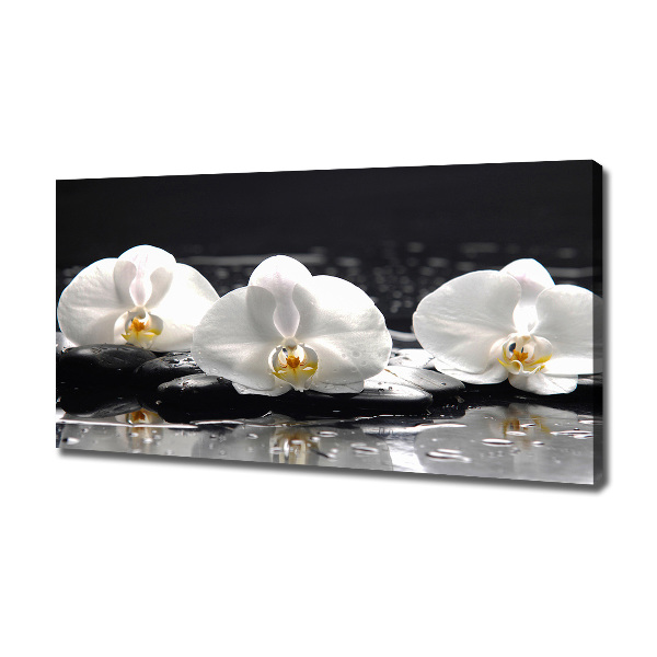 Canvas foto Orchidee