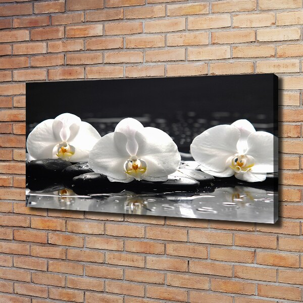 Canvas foto Orchidee