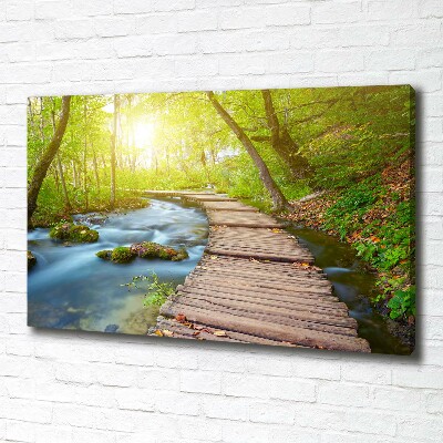 Schilderij op canvas Pad in het bos