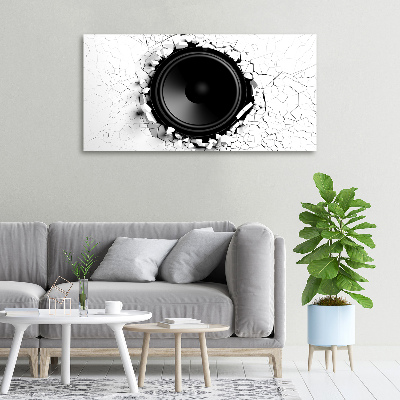 Foto canvas Luidspreker