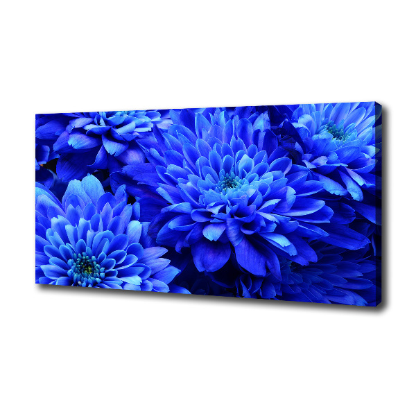Canvas schilderij Blauwe aster