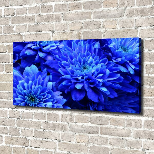 Canvas schilderij Blauwe aster