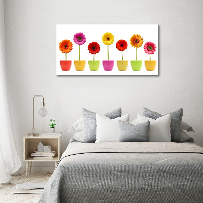 Schilderij op canvas Kleurrijke gerbera's