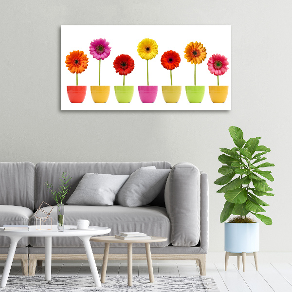 Schilderij op canvas Kleurrijke gerbera's