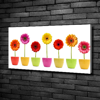 Schilderij op canvas Kleurrijke gerbera's