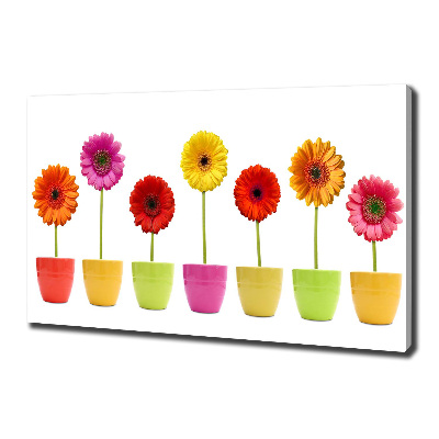 Schilderij op canvas Kleurrijke gerbera's