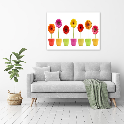 Schilderij op canvas Kleurrijke gerbera's