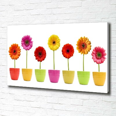 Schilderij op canvas Kleurrijke gerbera's