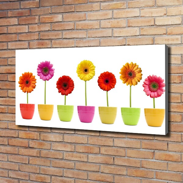 Schilderij op canvas Kleurrijke gerbera's
