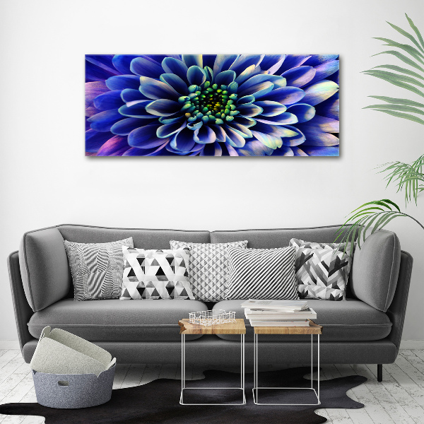 Foto canvas Aster
