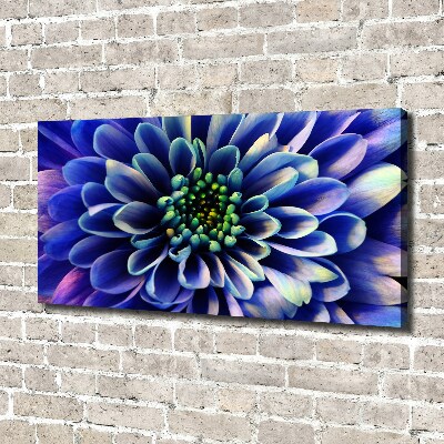 Foto canvas Aster