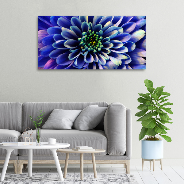 Foto canvas Aster