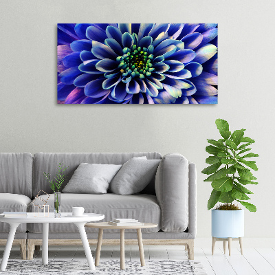 Foto canvas Aster