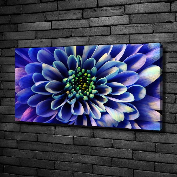 Foto canvas Aster