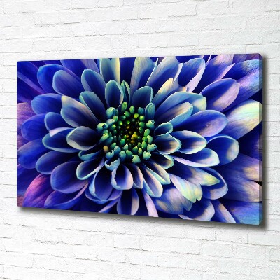 Foto canvas Aster