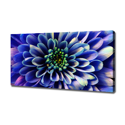 Foto canvas Aster