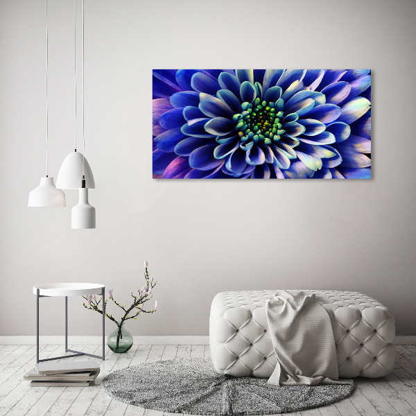 Foto canvas Aster