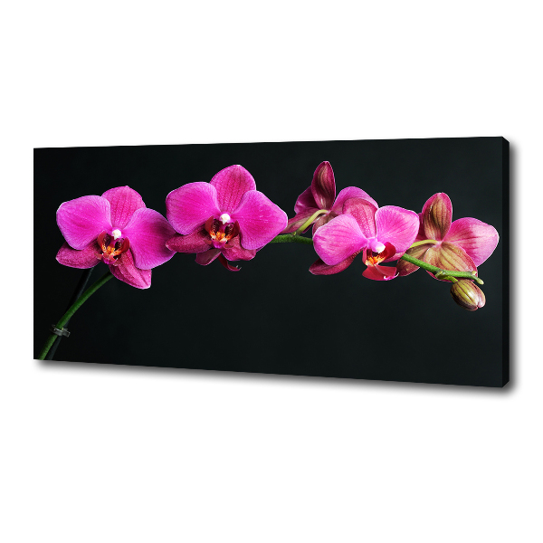 Foto op canvas Orchidee