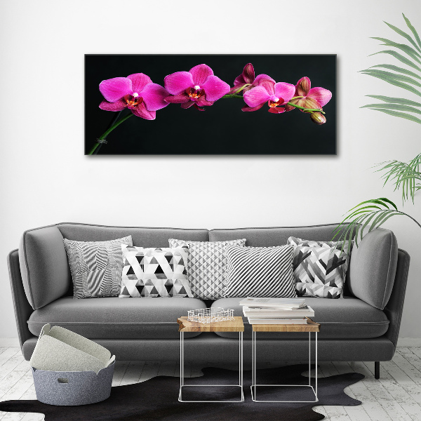 Foto op canvas Orchidee