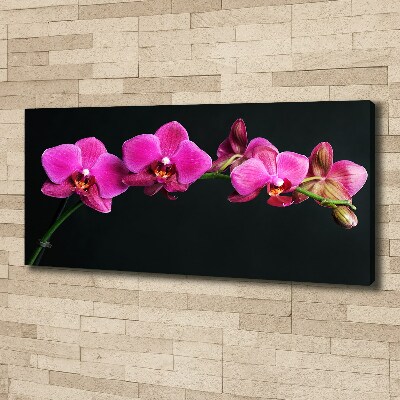 Foto op canvas Orchidee