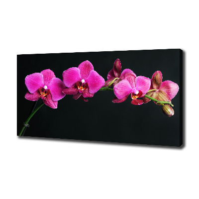 Foto op canvas Orchidee