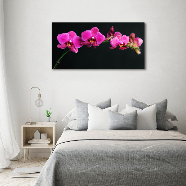 Foto op canvas Orchidee