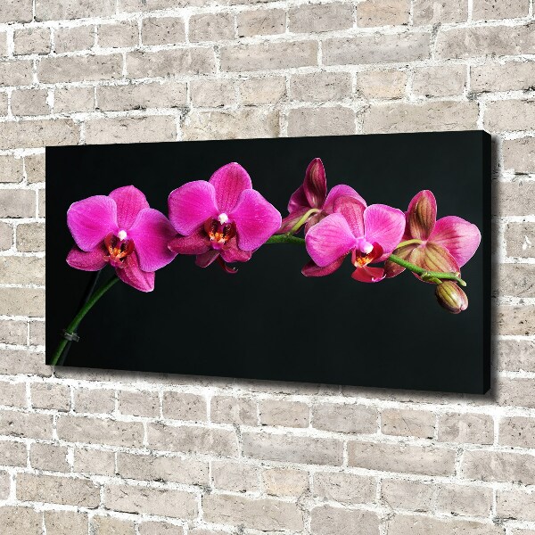 Foto op canvas Orchidee