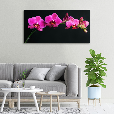 Foto op canvas Orchidee