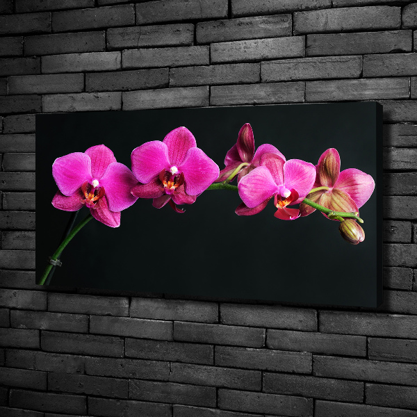 Foto op canvas Orchidee