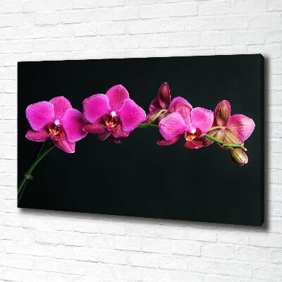 Foto op canvas Orchidee