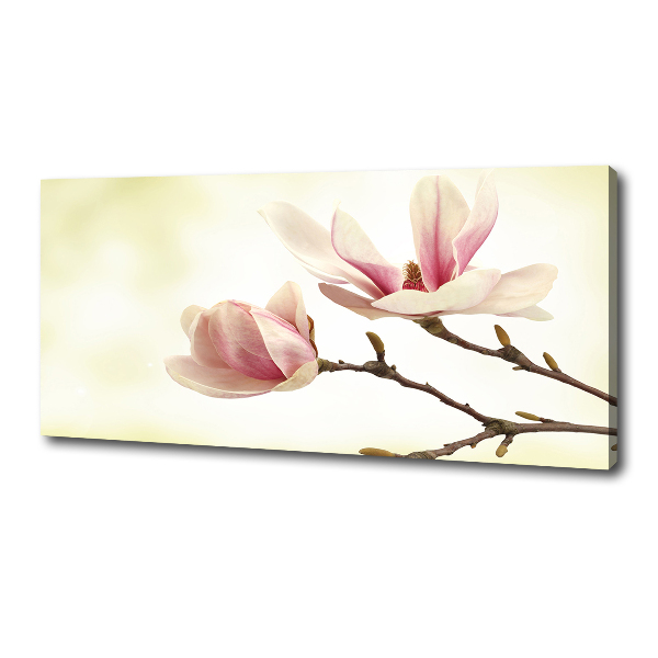 Canvas foto Magnolia