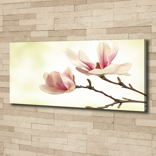 Canvas foto Magnolia