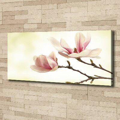 Canvas foto Magnolia