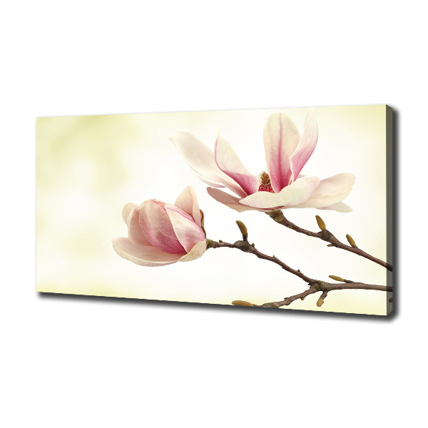 Canvas foto Magnolia