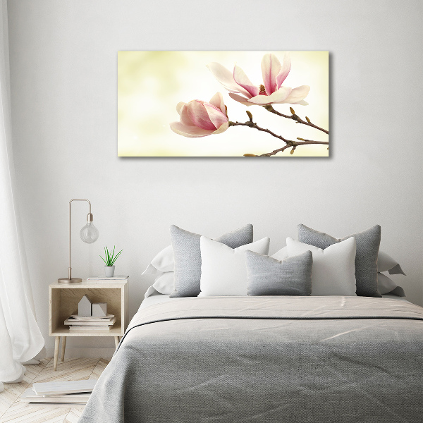 Canvas foto Magnolia