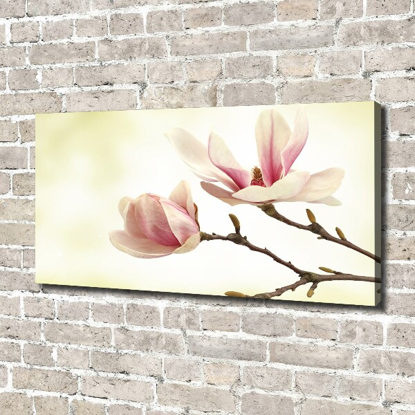Canvas foto Magnolia