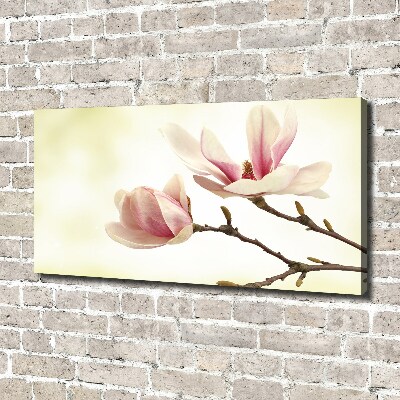 Canvas foto Magnolia